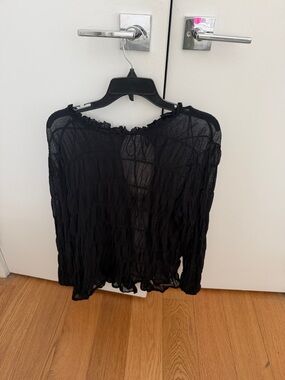 Zara Black Sheer Ruched Long Sleeve Blouse